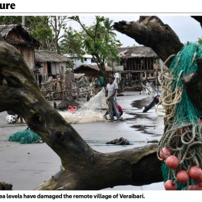 For Nature Magazine: ‘Cocaine of the seas’ — how a luxury food is wreaking ecological mayhem in PNG&nbsp;waters